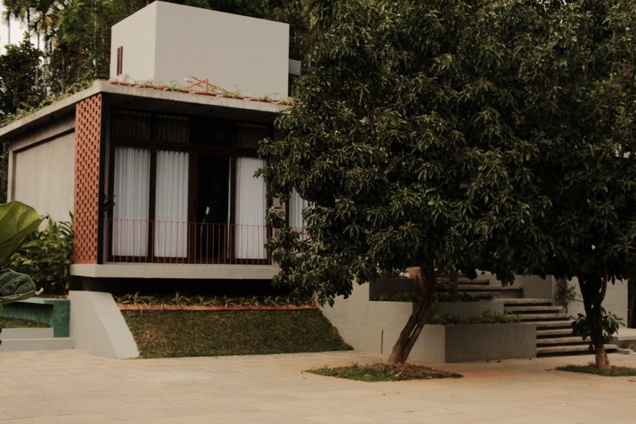 The front of the house across the paved courtyard, framed by avocado trees