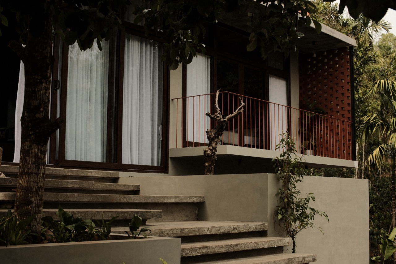 Board-formed concrete steps rising to the verandah beside a sculptural driftwood branch