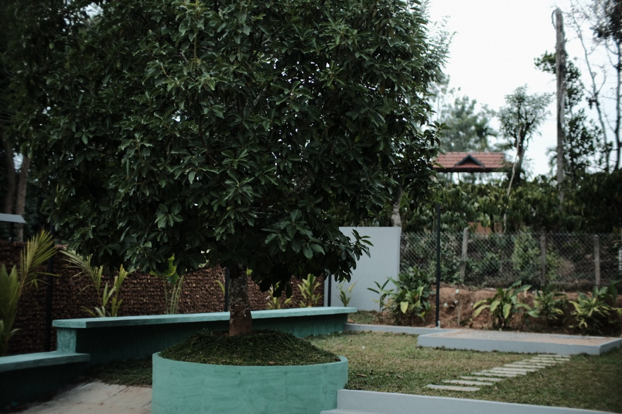 The garden edge where the property meets the surrounding coffee plantation