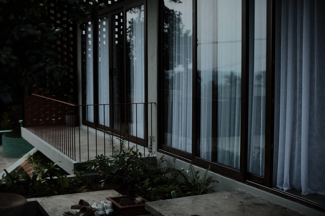Ferns and planting along the verandah edge in the evening